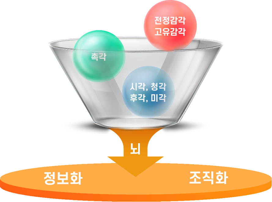 감각통합치료